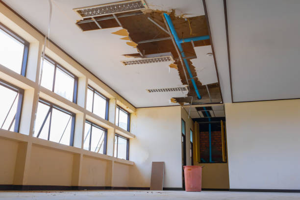 Best Sewage cleanup and water damage restoration  in Chatsworth, IL