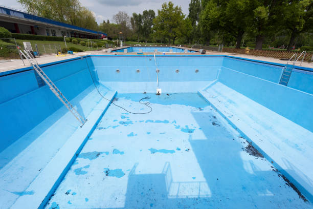 Best Ceiling water damage repair  in Chatsworth, IL