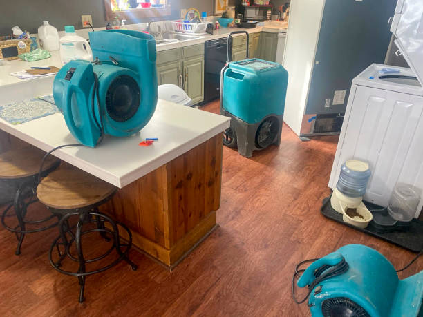 Best Residential water damage restoration  in Chatsworth, IL