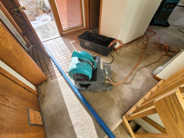 Best Water damage restoration near me  in Chatsworth, IL
