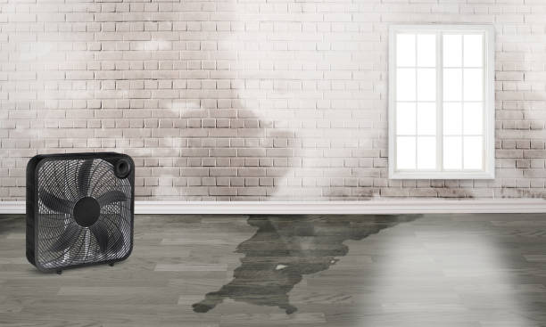 Best Flood restoration services  in Chatsworth, IL