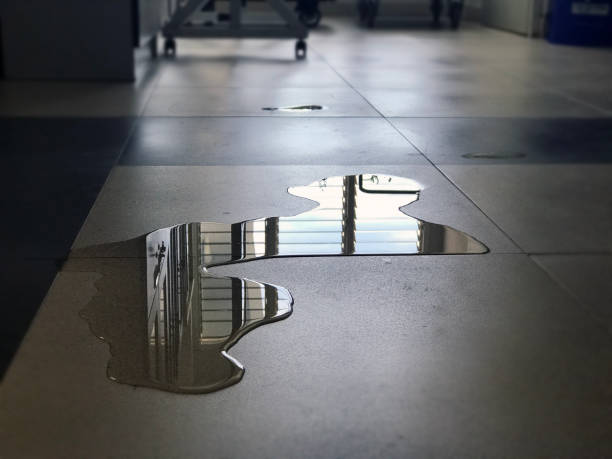 Best Commercial water damage restoration  in Chatsworth, IL