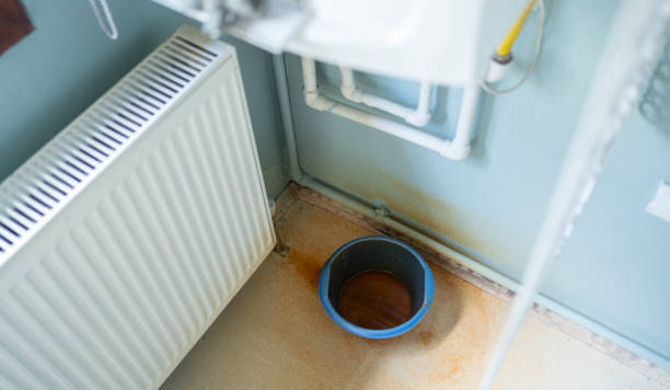 Best Sewage cleanup and water damage restoration  in Chatsworth, IL